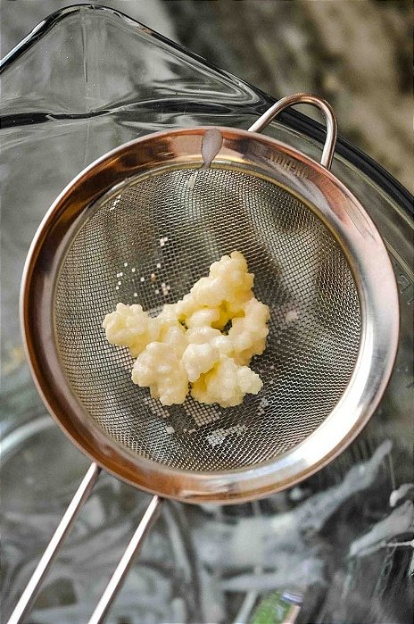 Kefir de Leite