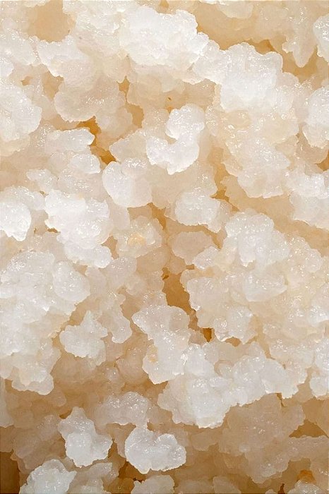 Kefir de água