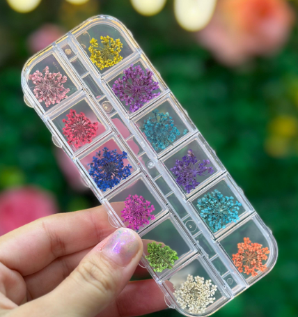 KIT DE FLORES DESIDRATADAS