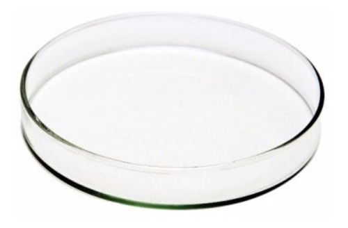 Placa de Petri de Vidro 150x25mm - 10 Peças