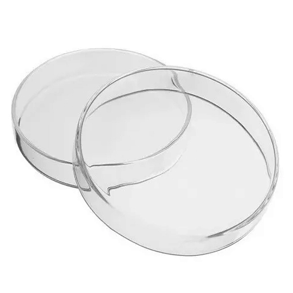Combo Placa de Petri de Vidro 100x20mm - 10 Peças