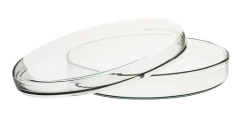 Combo Placa de Petri de Vidro 90x15cm - 20 Peças