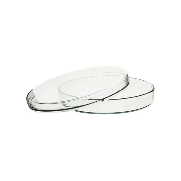Combo Placa de Petri de Vidro 90x15cm - 3 Peças