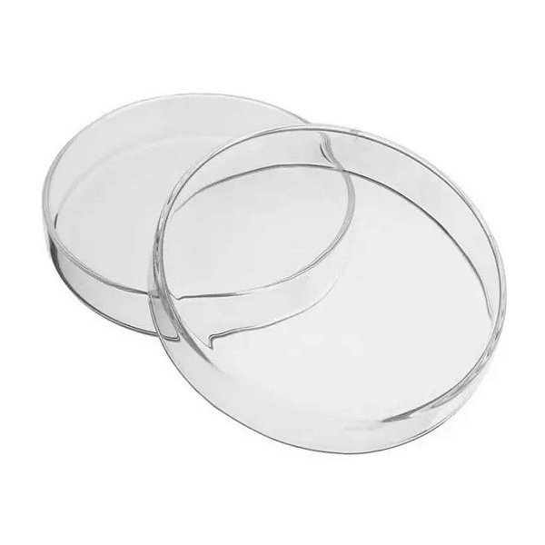 Placa de Petri em Vidro Tamanho: 80x15mm