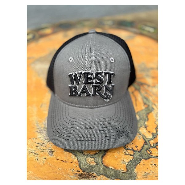 BONÉ WEST BARN CINZA LOGO PTO