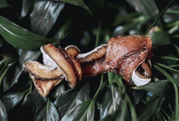 Natuka Knot Plus