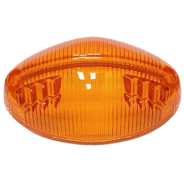 Lente Lateral Paralama Dianteiro Iveco