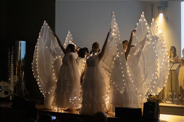 Kit 3 asas essencia com led