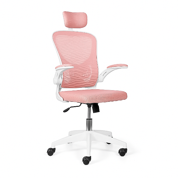 Cadeira De Escritório Ergonômica Regulável Giratória Brin7