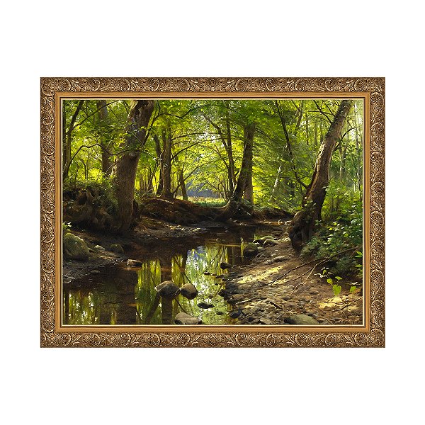 Um Riacho na Floresta