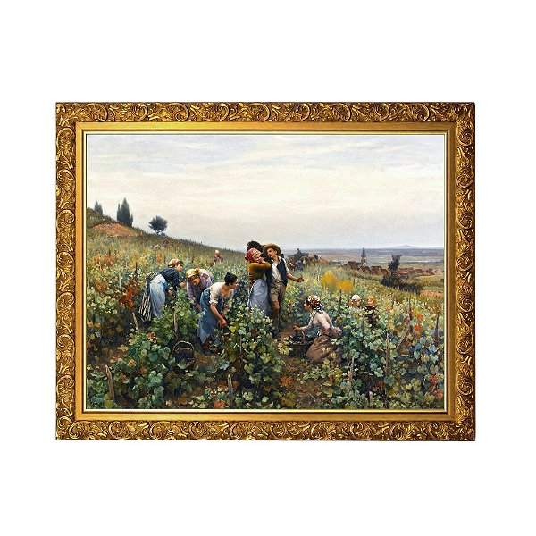 Colheita de Uva