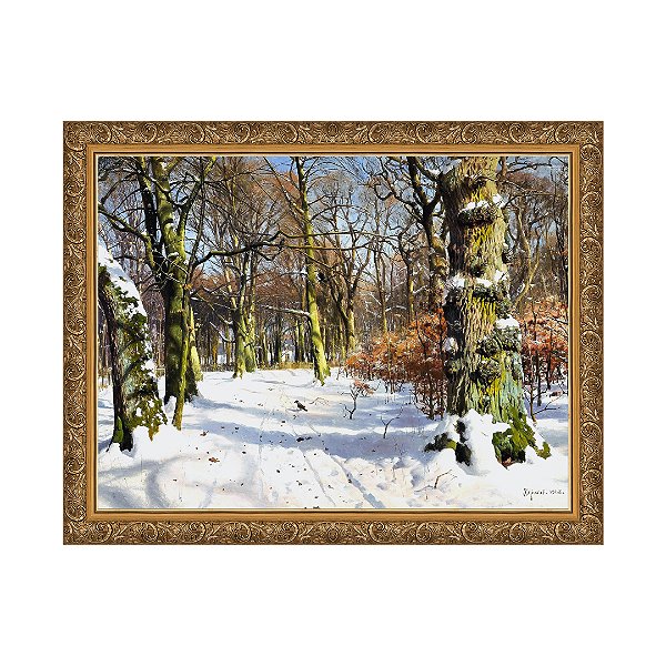 Paisagem de Inverno na Floresta de Charlottelund