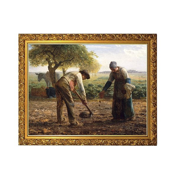 Plantadores de Batatas