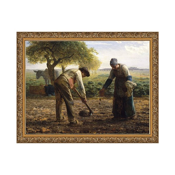 Plantadores de Batatas