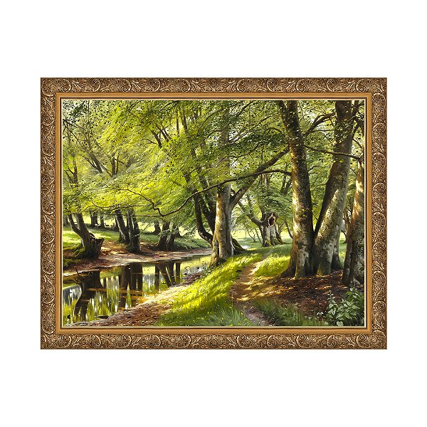 Um Dia de Verão na Floresta