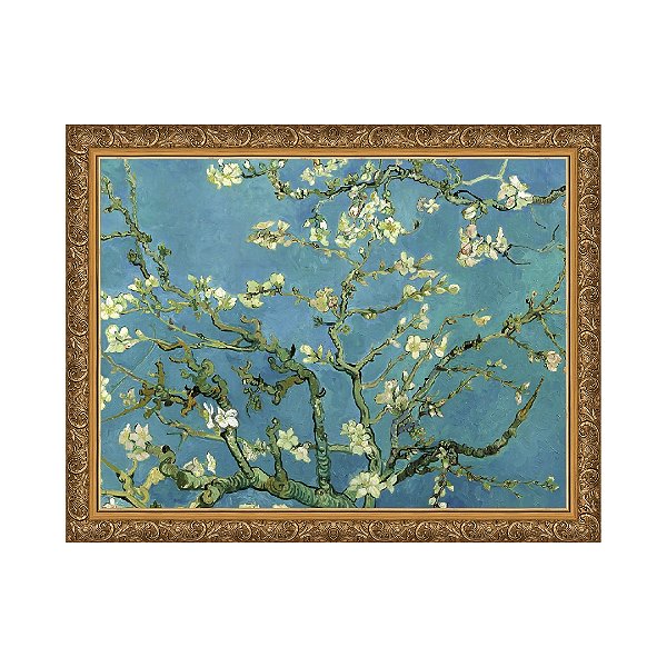 Amendoeira Flor