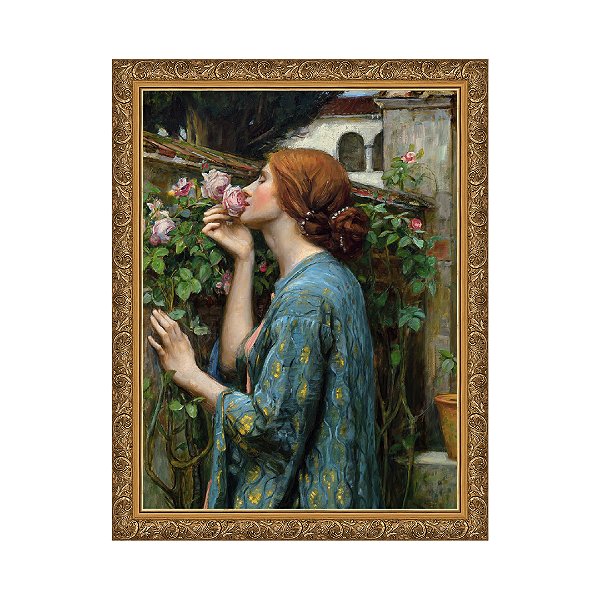 A Alma da Rosa