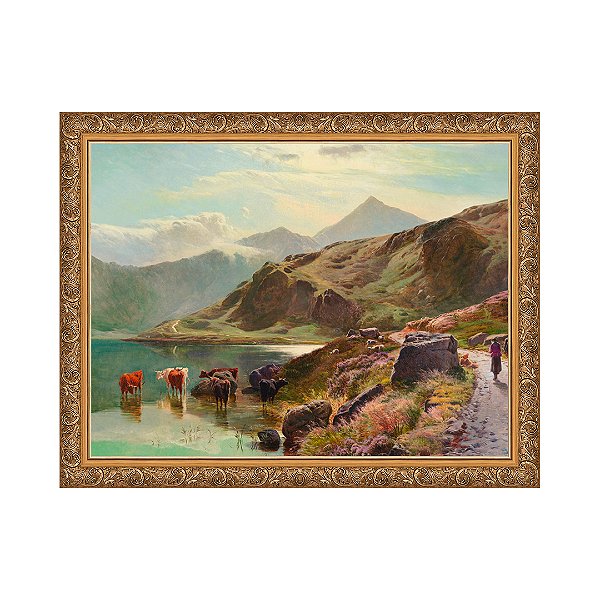 Gado bebendo perto de Snowdonia