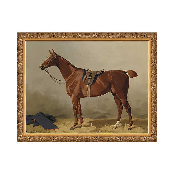 Cavalo de esporte selado