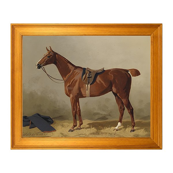 Cavalo de esporte selado