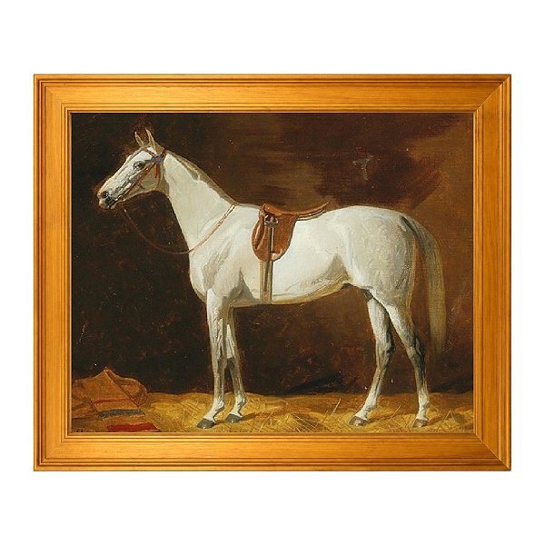 Cavalo cinzento selado no estábulo