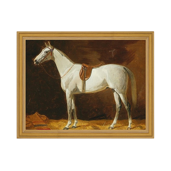 Cavalo cinzento selado no estábulo