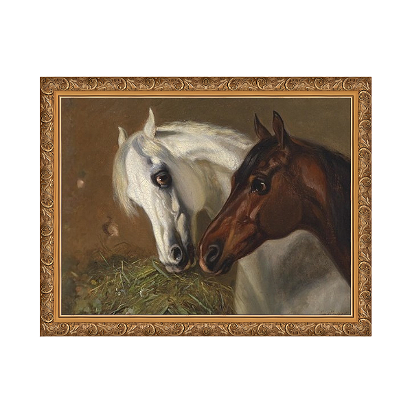 Duas cabeças de cavalo