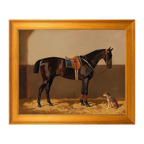 Um Cavalo Preto com um Cão