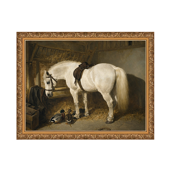 Um pônei cinza em um estábulo com patos