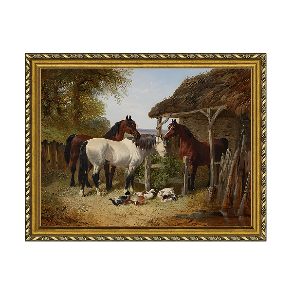 Cavalos e patos em um pátio de fazenda