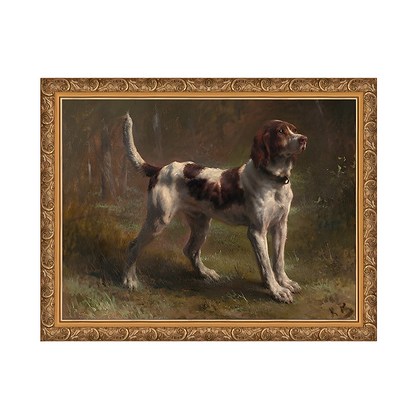 Um Limier Briquet Hound