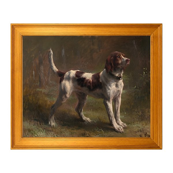 Um Limier Briquet Hound