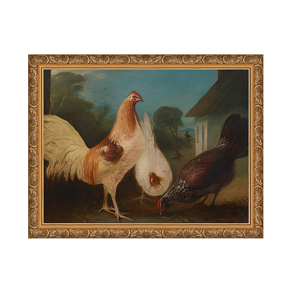 Galinhas em um quintal