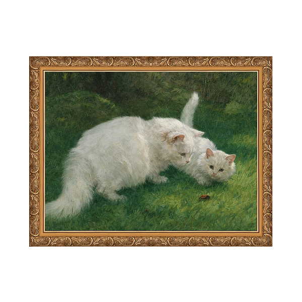 Descoberta interessante