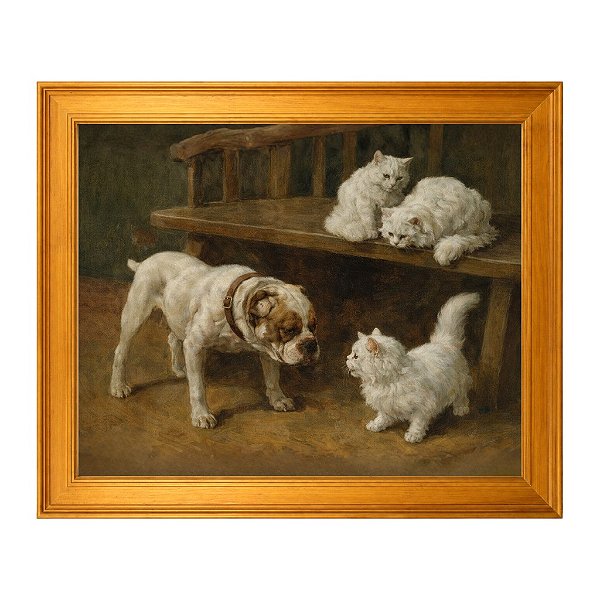 Cães e Gatos