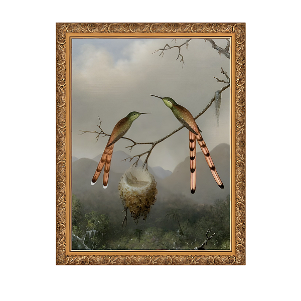 Dois beija-flores com seus filhotes