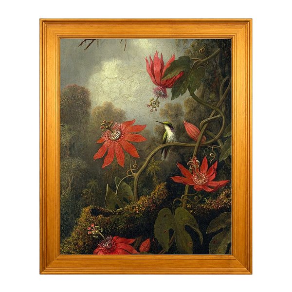 Beija-flor e flores da paixão