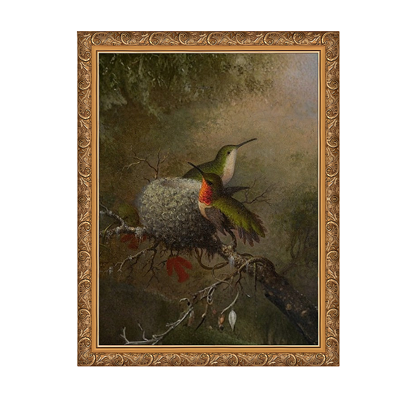 Duas Gargantas Rubi Junto ao Ninho