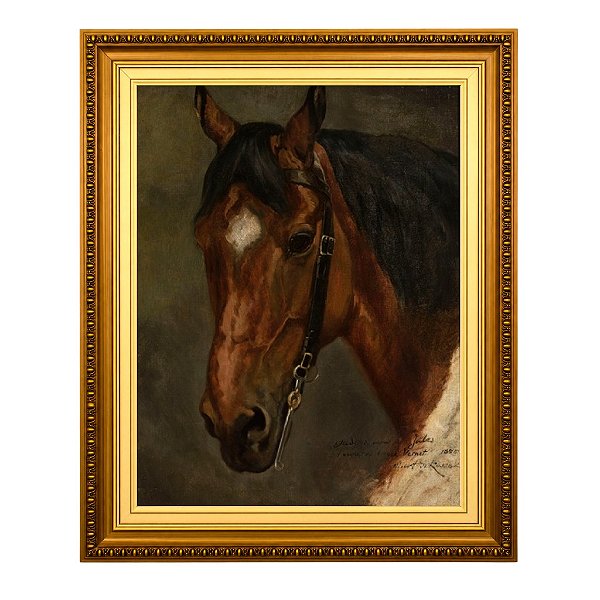 Cabeça de cavalo