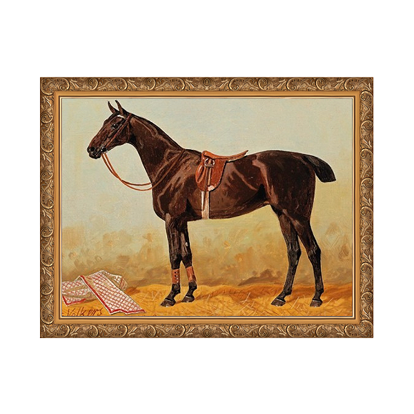 Manta de sela marrom em Stall