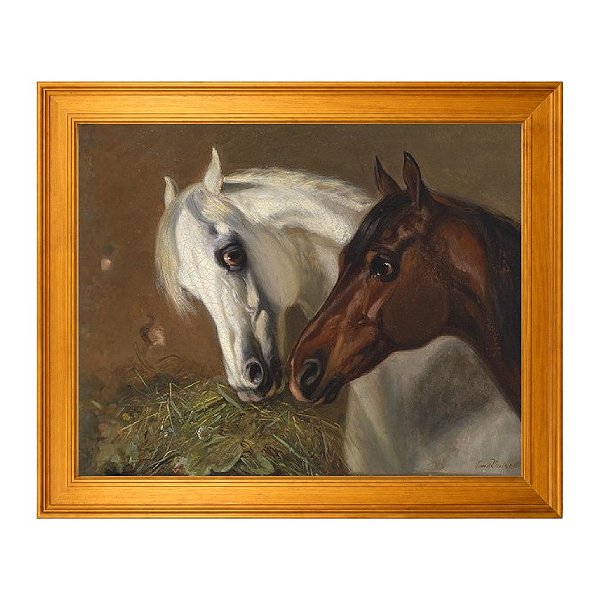 Duas cabeças de cavalo