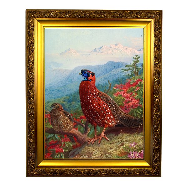 O Tragopan Sátiro (1918-1922)