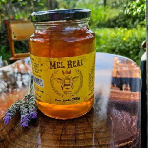 Mel Real - Qualidade Premium (750g)