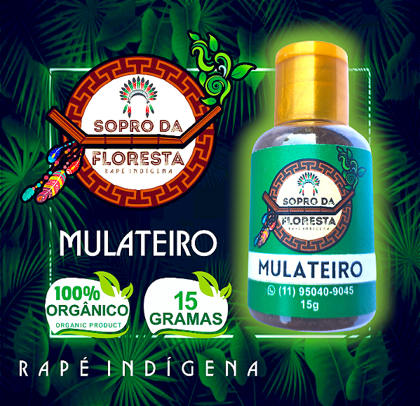 Mulateiro