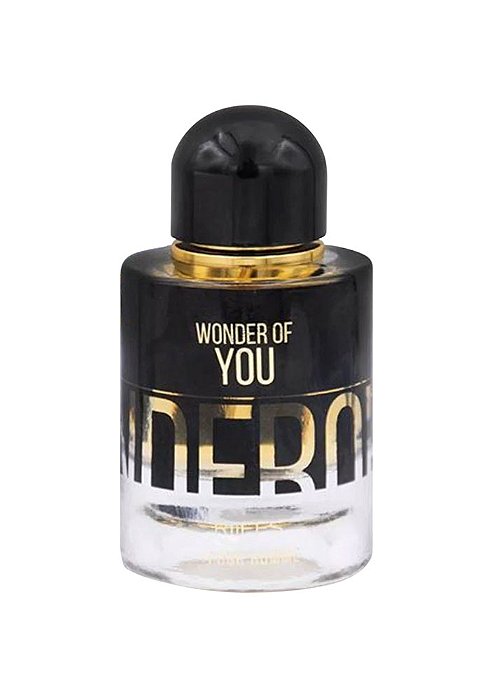 Wonder Of You Men Riiffs Eau de Parfum Masculino 100ml
