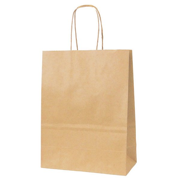 Kit Sacola Para Presente Kraft M 25,5x19,5x8cm - 10 Unidades