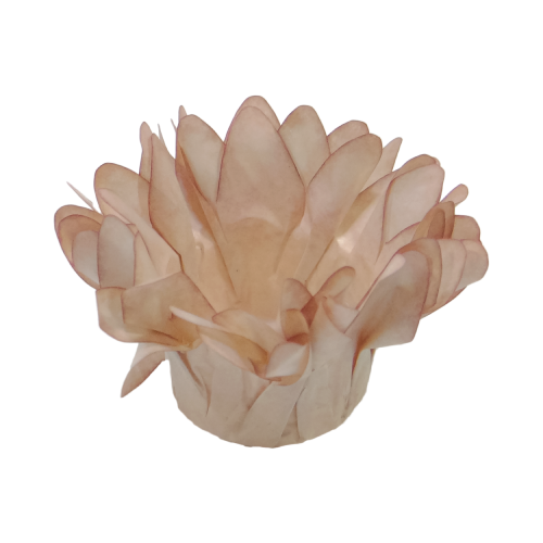 Forminha Decora Doces Madri Doce de Leite - Embalagem com 30UN