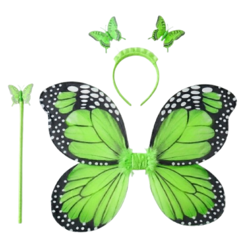 Fantasia Borboleta Verde com Borda Preta