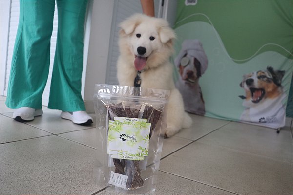 Trança Suína Natural-Mastigável 100% Esôfago Suíno desidratado