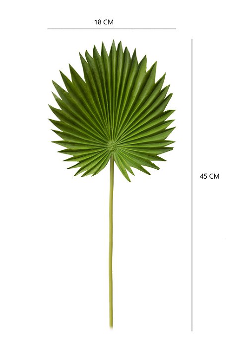 Folhagem Latania Toque Real - 45cmX18cm